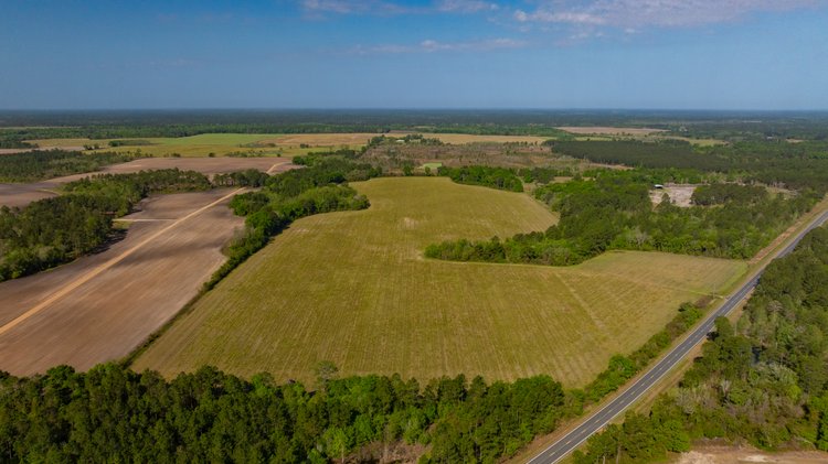 Image for Reynolds Tract - Tison Estate - 92.37± Total Acres - Premium Row Crop Farmland - Mixed Hardwoods - Located in Big Buck Country