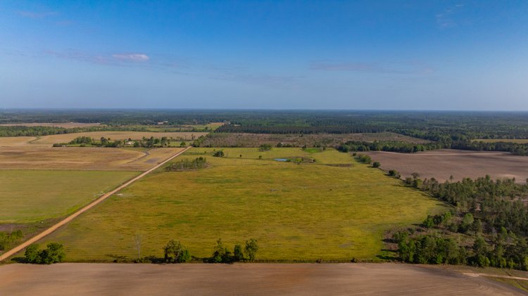 Image for Pasture Tract - Tison Estate - 109± Total Acres - Premium Row Crop Farmland - Fenced Pasture & Catch Pin - Excellent Worth County Location