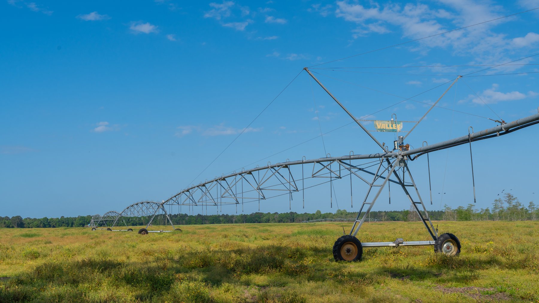 Image for Pasture Tract - Tison Estate - 109± Total Acres - Premium Row Crop Farmland - Fenced Pasture & Catch Pin - Excellent Worth County Location