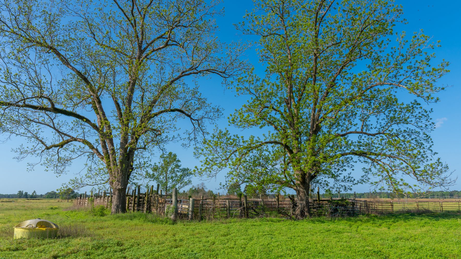 Image for Pasture Tract - Tison Estate - 109± Total Acres - Premium Row Crop Farmland - Fenced Pasture & Catch Pin - Excellent Worth County Location