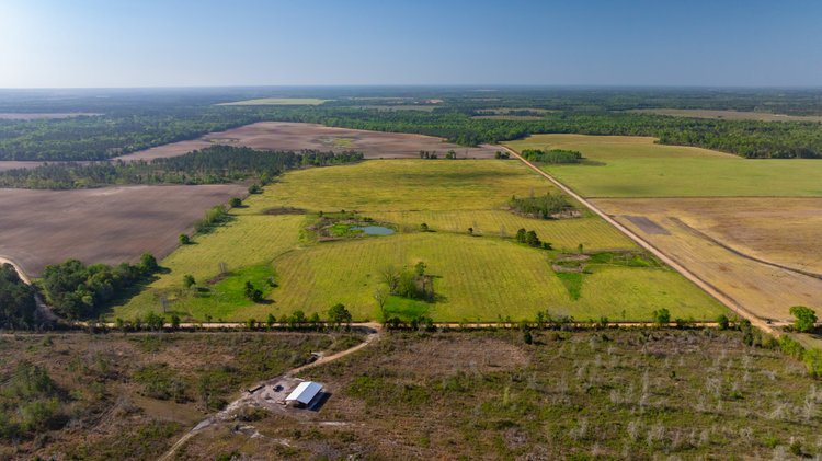 Image for Pasture Tract - Tison Estate - 109± Total Acres - Premium Row Crop Farmland - Fenced Pasture & Catch Pin - Excellent Worth County Location