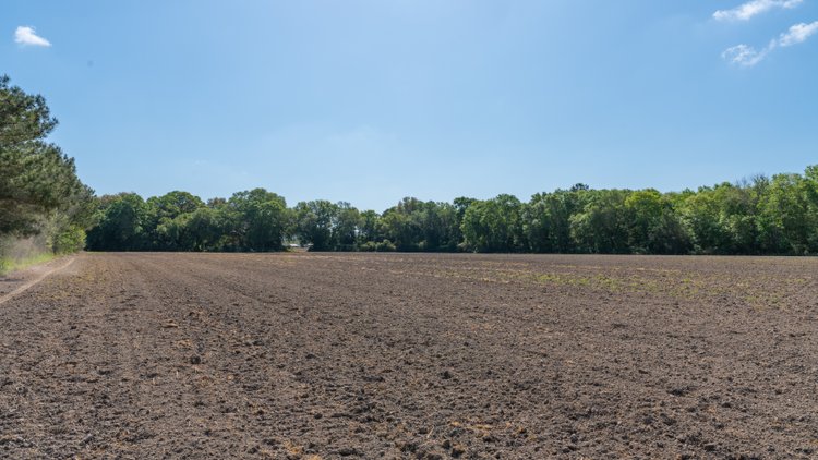 Image for Bells Tract - Tison Estate - 10.5± Total Acres - Excellent Homesite - Located in Big Buck Country - Crop Land & Mixed Hardwoods