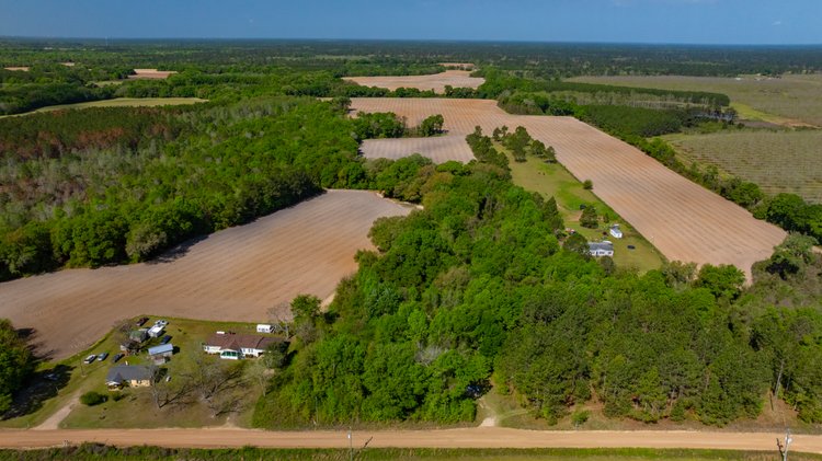 Image for Bells Tract - Tison Estate - 10.5± Total Acres - Excellent Homesite - Located in Big Buck Country - Crop Land & Mixed Hardwoods