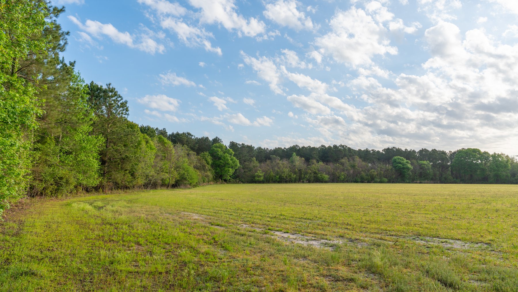 Image for Gregory Tract - Tison Estate - 333±  Total Acres - Premium Recreational Tract W/ Row Crop Farmland - Borders Aultman Forrest - Offered in Two Tracts