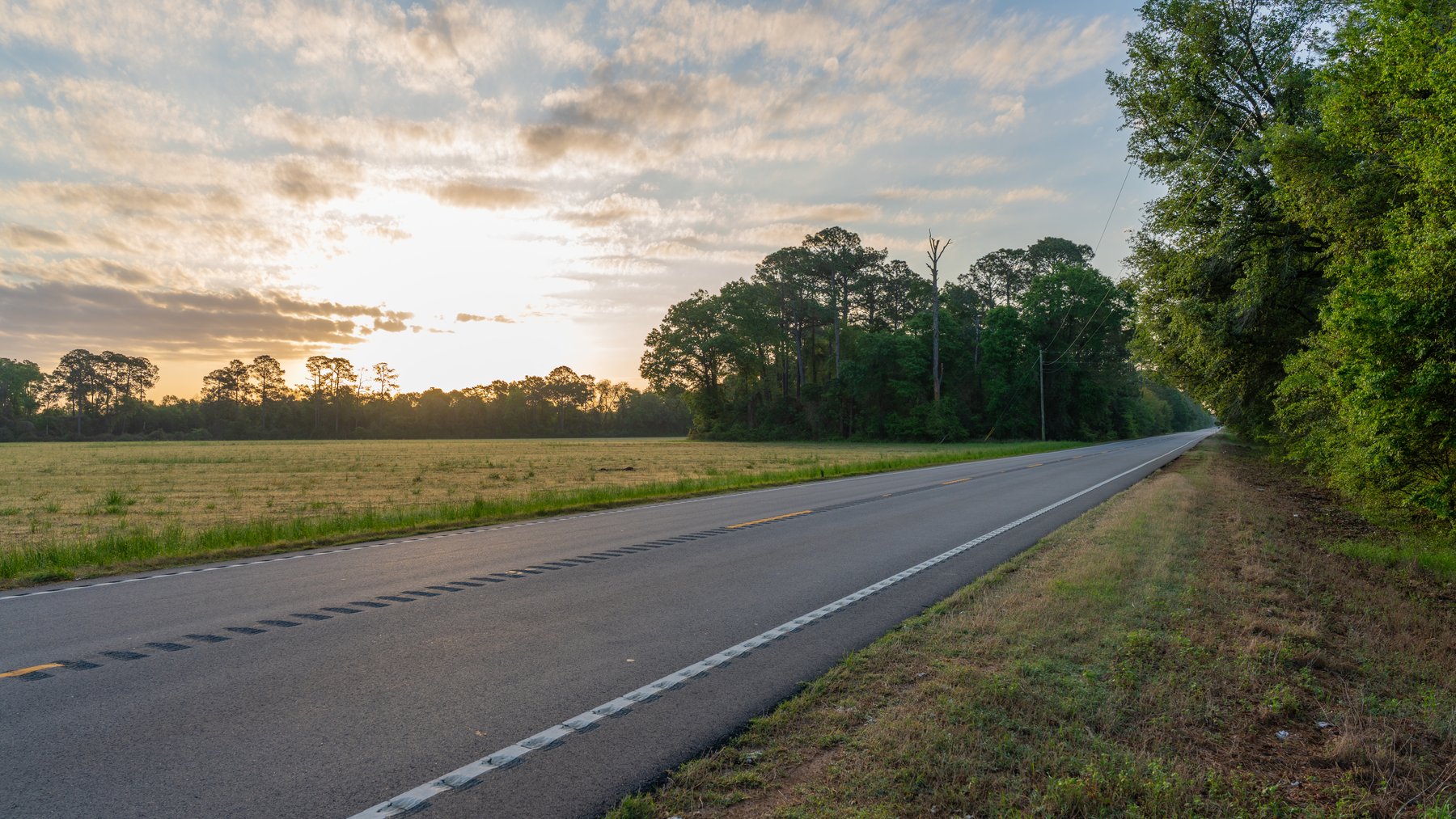 Image for Gregory Tract - Tison Estate - 333±  Total Acres - Premium Recreational Tract W/ Row Crop Farmland - Borders Aultman Forrest - Offered in Two Tracts
