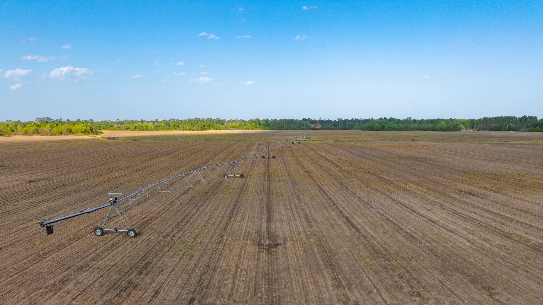 Image for Horsebarn Tract - Tison Estate - 258± Total Acres - Irrigated Row Crop Farm - Premium Recreational Tract - Offered in 2 Tracts