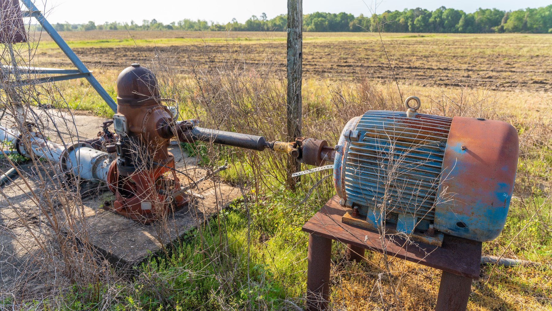 Image for Horsebarn Tract - Tison Estate - 258± Total Acres - Irrigated Row Crop Farm - Premium Recreational Tract - Offered in 2 Tracts