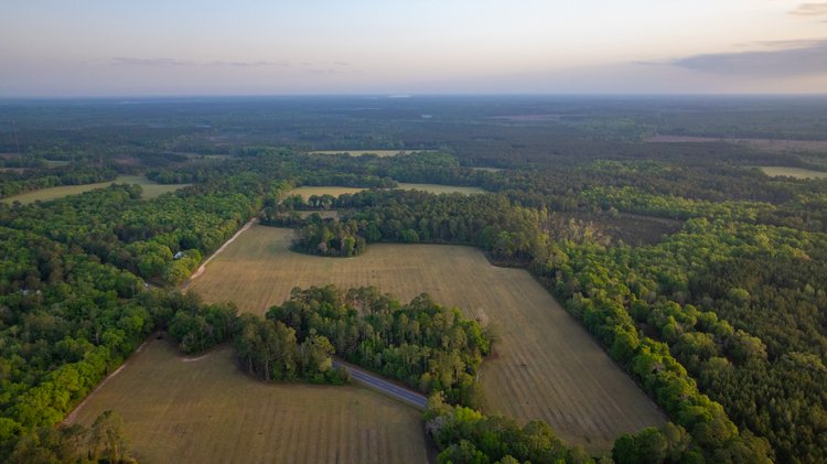 Image for Gregory Tract - Tison Estate - 333±  Total Acres - Premium Recreational Tract W/ Row Crop Farmland - Borders Aultman Forrest - Offered in Two Tracts