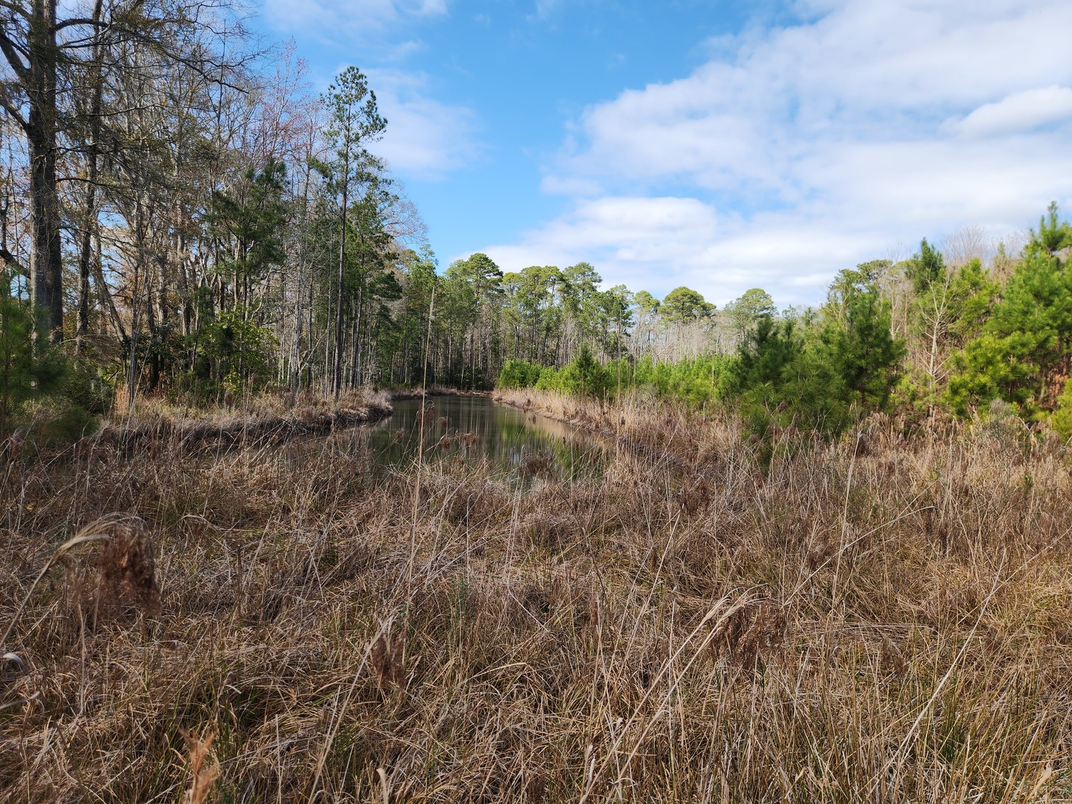 Image for Savannah, GA: Prime 8.65± Acres Commercial Opportunity on High Growth Ogeechee Corridor (Chatham County)