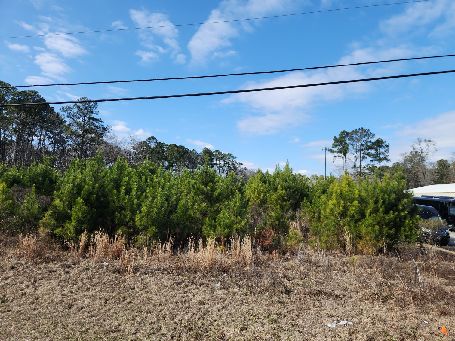 Image for Savannah, GA: Prime 8.65± Acres Commercial Opportunity on High Growth Ogeechee Corridor (Chatham County)