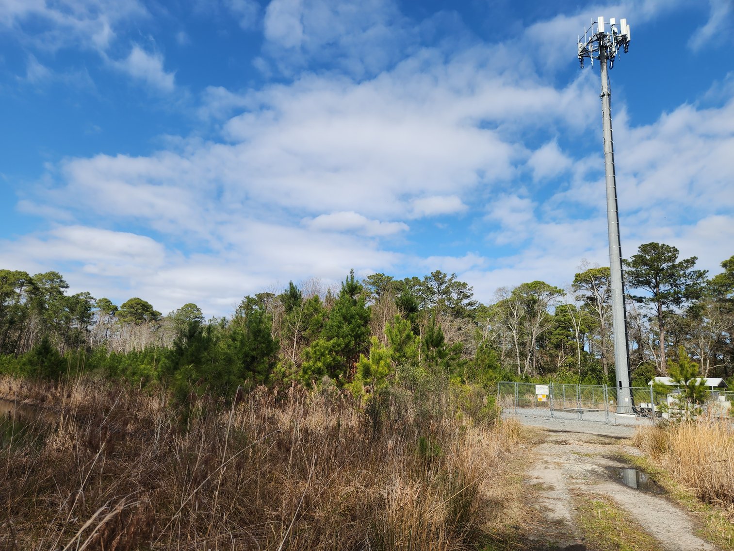Image for Savannah, GA: Prime 8.65± Acres Commercial Opportunity on High Growth Ogeechee Corridor (Chatham County)