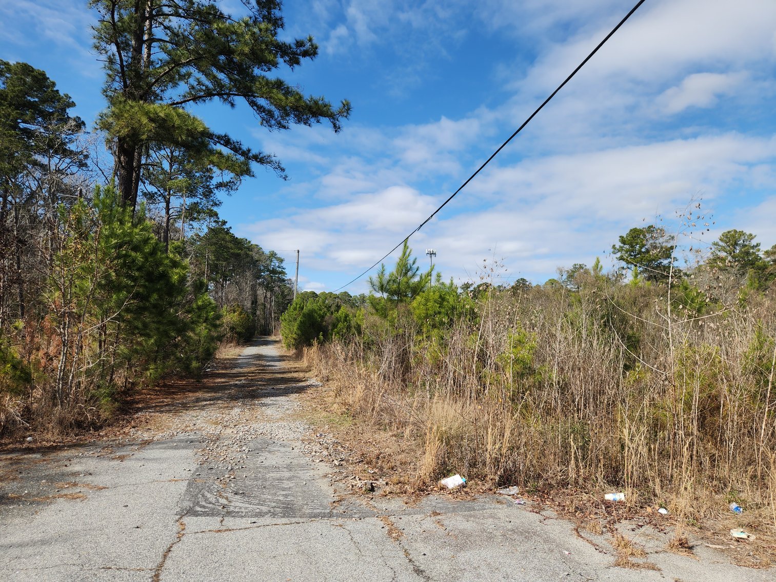 Image for Savannah, GA: Prime 8.65± Acres Commercial Opportunity on High Growth Ogeechee Corridor (Chatham County)