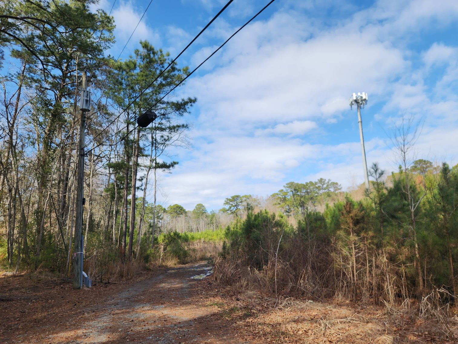 Image for Savannah, GA: Prime 8.65± Acres Commercial Opportunity on High Growth Ogeechee Corridor (Chatham County)