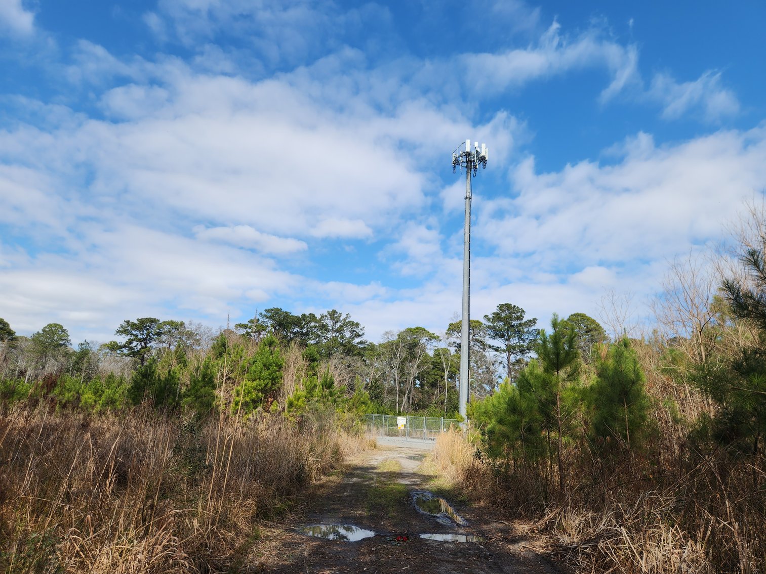Image for Savannah, GA: Prime 8.65± Acres Commercial Opportunity on High Growth Ogeechee Corridor (Chatham County)