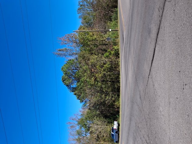 Image for Talladega, AL: 2 Parcels Totaling 63± Acres with 12 Surveyed Lots (Talladega County)