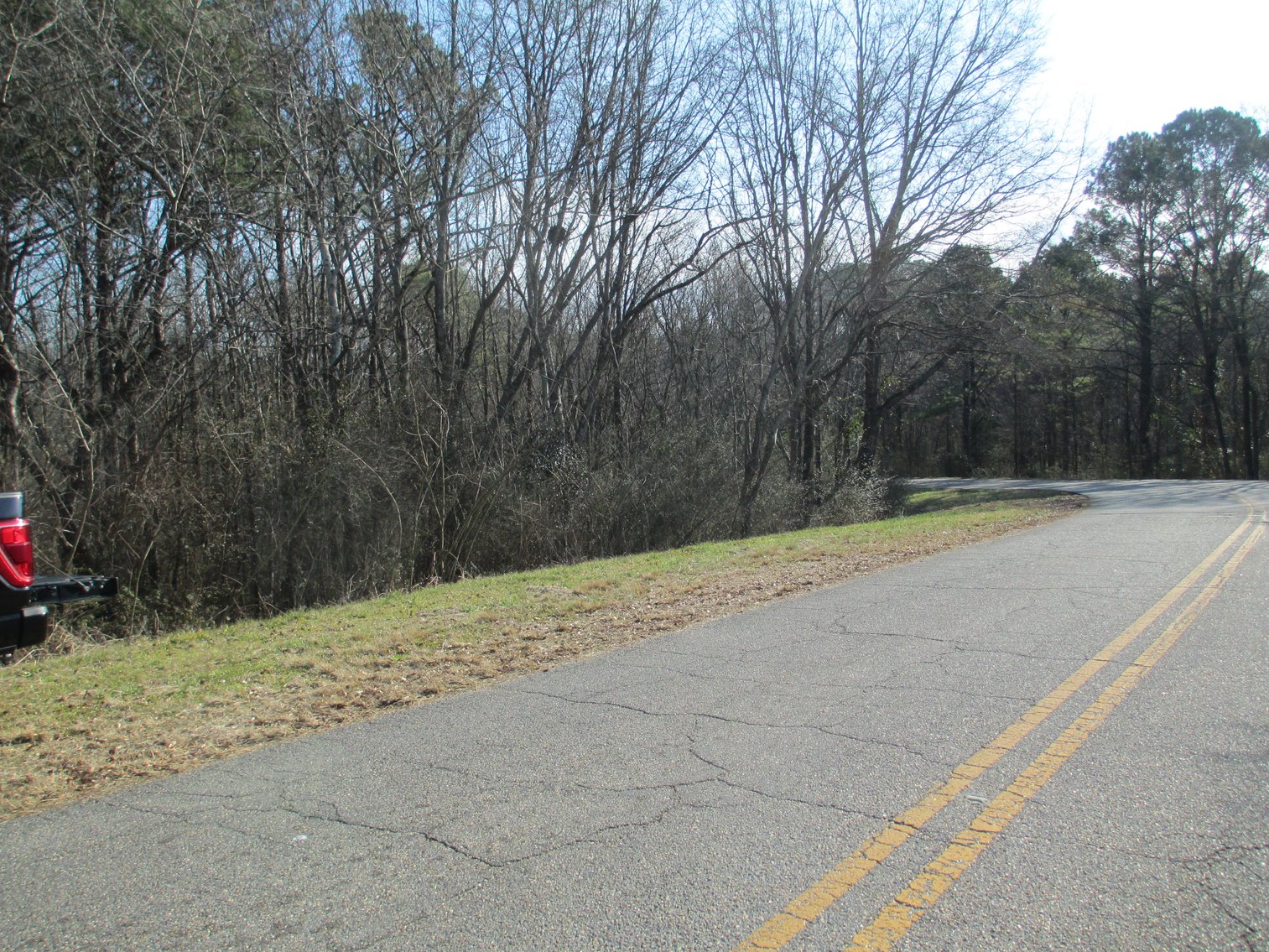Image for Talladega, AL: 2 Parcels Totaling 63± Acres with 12 Surveyed Lots (Talladega County)
