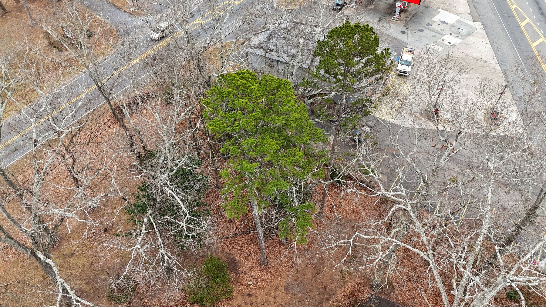 Image for Canton, GA: 1.4± Acre Medical/ Retail Site at 3174 Marietta Highway, Canton, GA (Cherokee County)