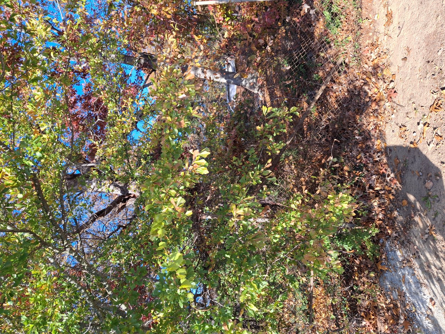 Image for Canton, GA: 1.4± Acre Medical/ Retail Site at 3174 Marietta Highway, Canton, GA (Cherokee County)