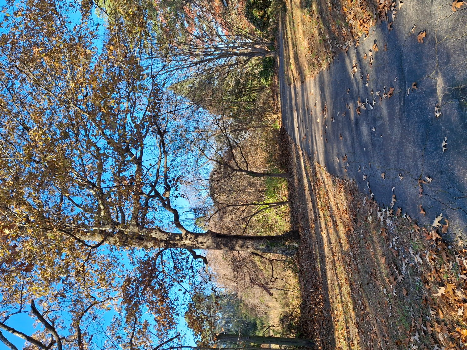 Image for Canton, GA: 1.4± Acre Medical/ Retail Site at 3174 Marietta Highway, Canton, GA (Cherokee County)