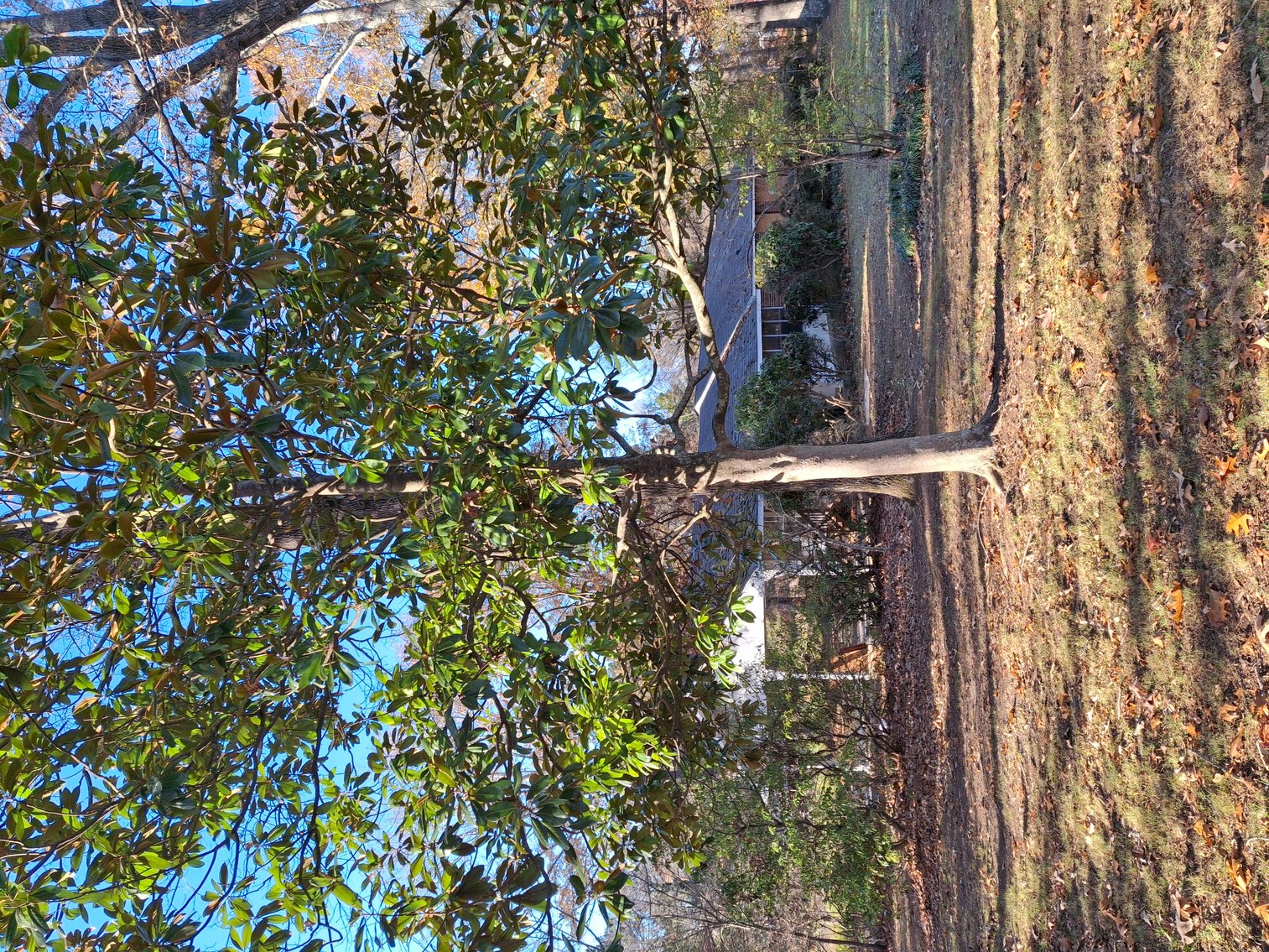 Image for Canton, GA: 1.4± Acre Medical/ Retail Site at 3174 Marietta Highway, Canton, GA (Cherokee County)