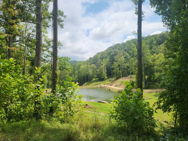 Image for Stanton, KY: Development & Investment Opportunities Near Red River Gorge in Birch Hollow (Powell County)