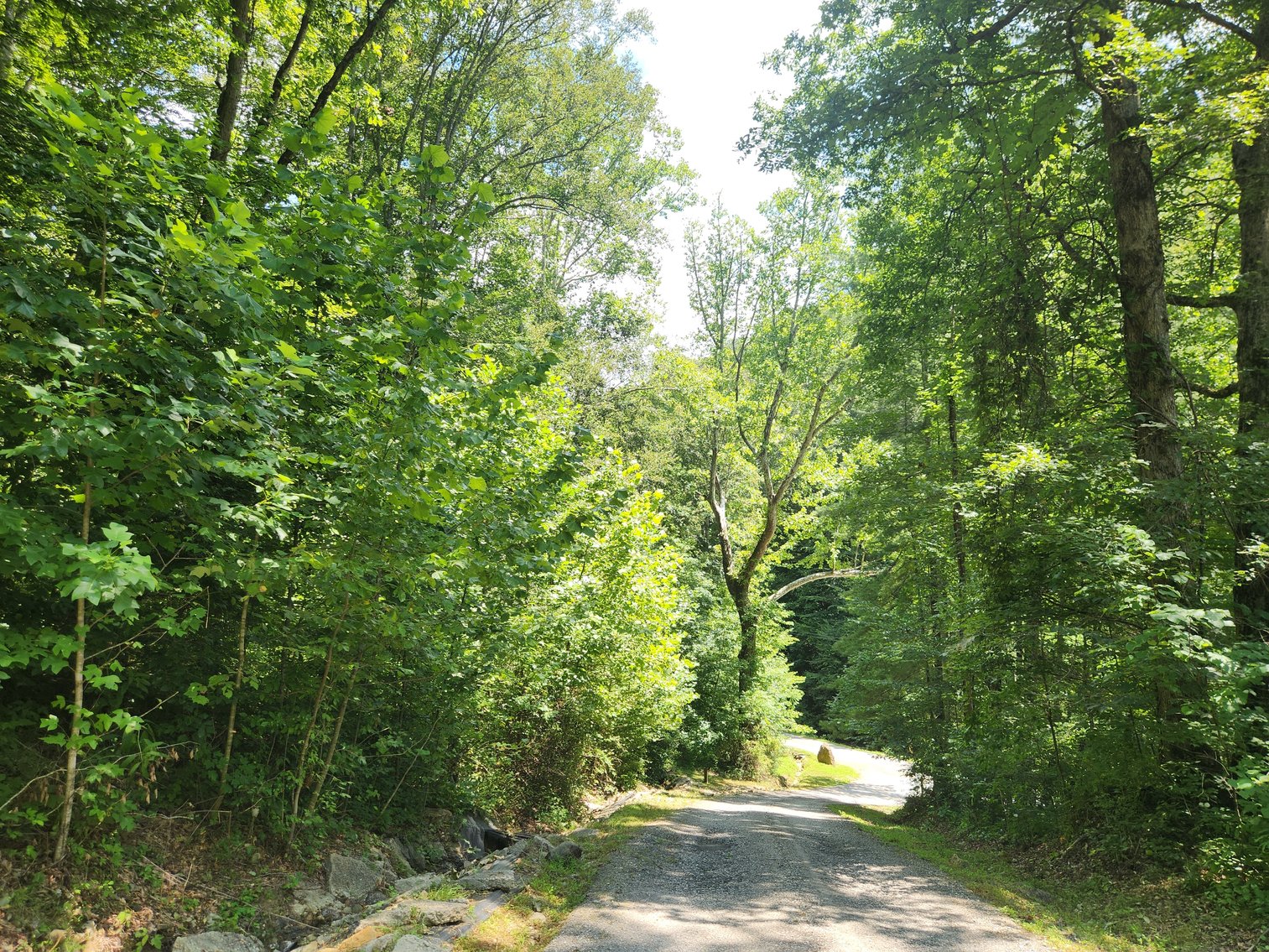 Image for Stanton, KY: Development & Investment Opportunities Near Red River Gorge in Birch Hollow (Powell County)