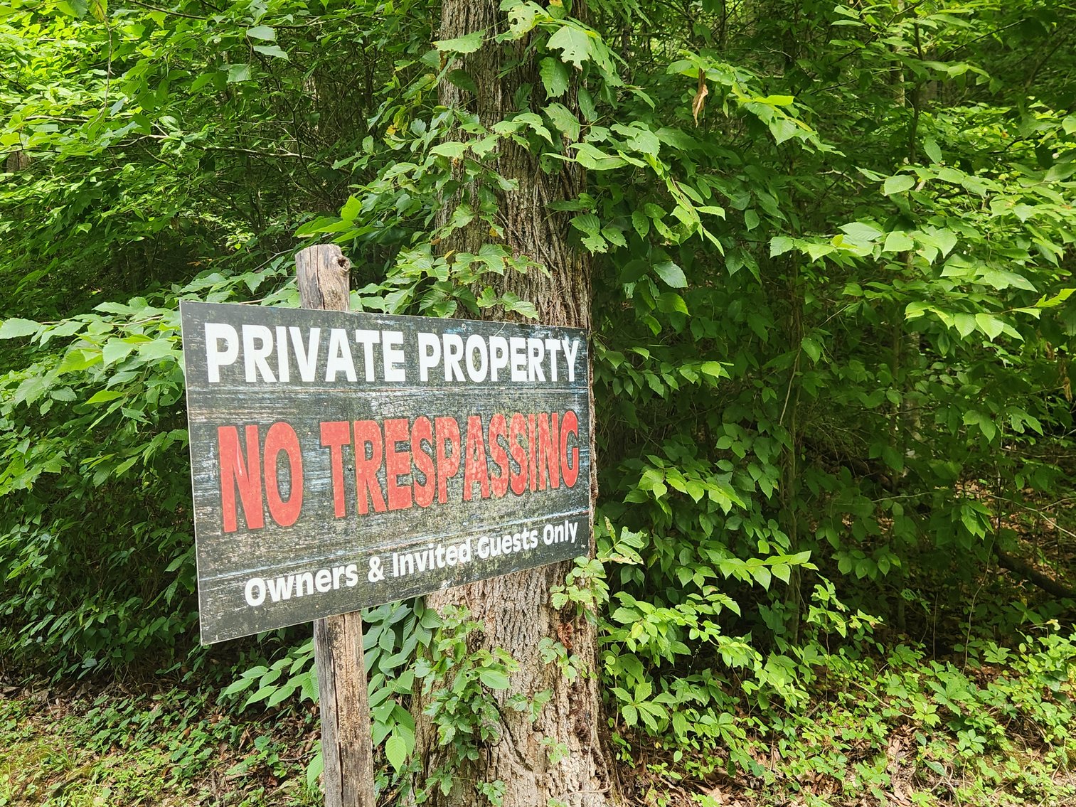 Image for Stanton, KY: Development & Investment Opportunities Near Red River Gorge in Birch Hollow (Powell County)