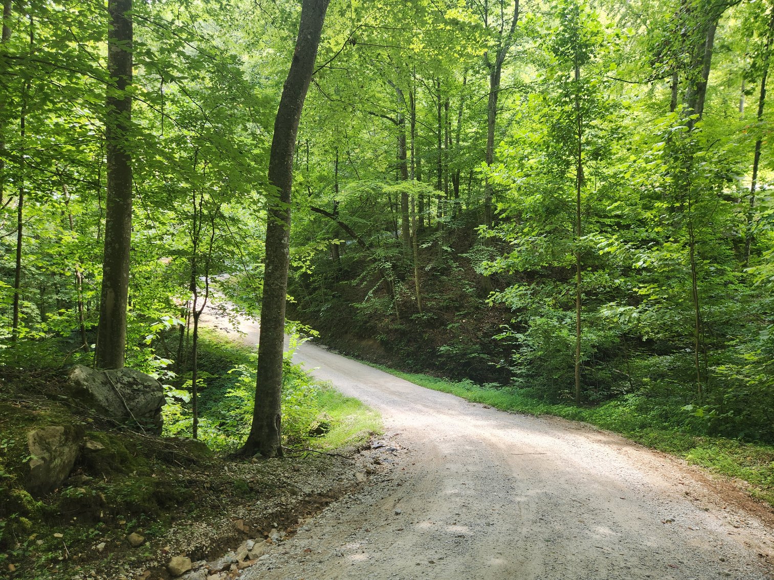 Image for Stanton, KY: Development & Investment Opportunities Near Red River Gorge in Birch Hollow (Powell County)