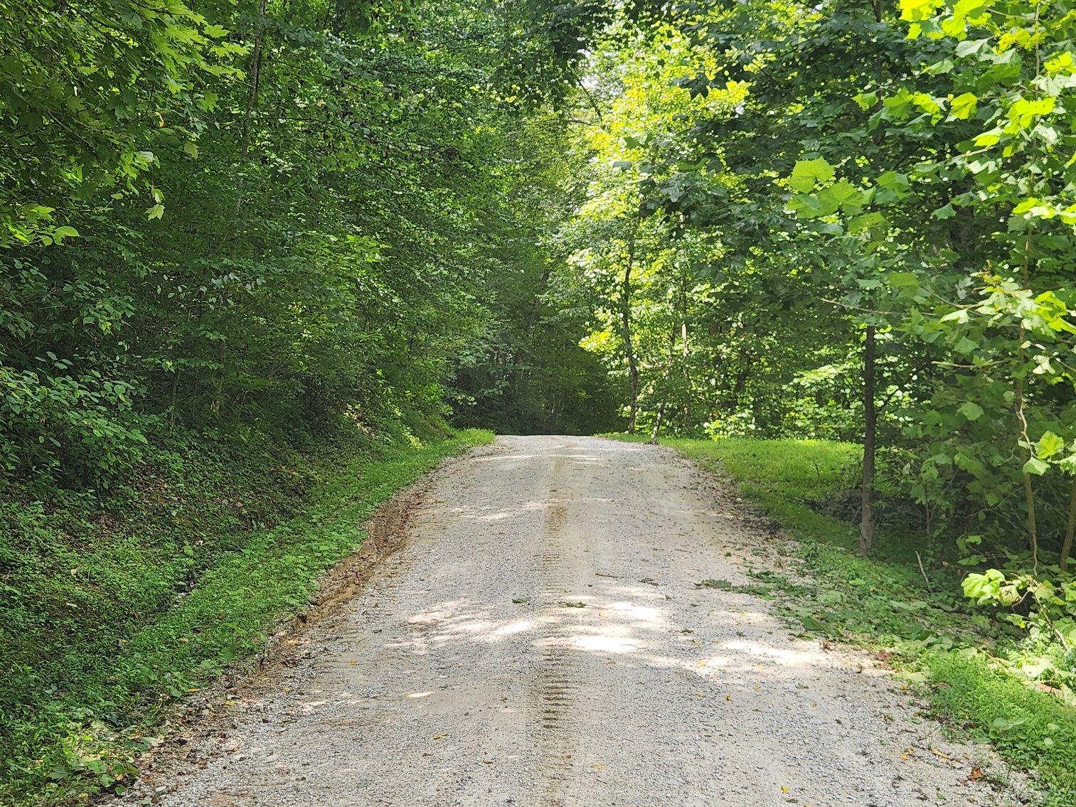 Image for Stanton, KY: Development & Investment Opportunities Near Red River Gorge in Birch Hollow (Powell County)