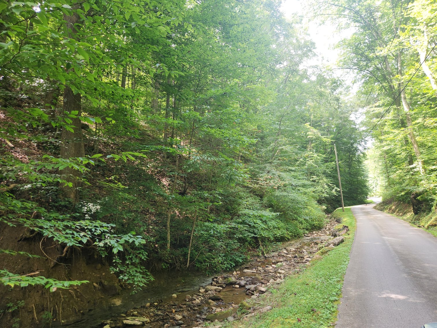 Image for Stanton, KY: Development & Investment Opportunities Near Red River Gorge in Birch Hollow (Powell County)