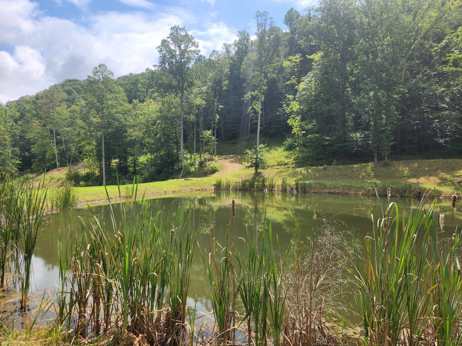 Image for Stanton, KY: Development & Investment Opportunities Near Red River Gorge in Birch Hollow (Powell County)