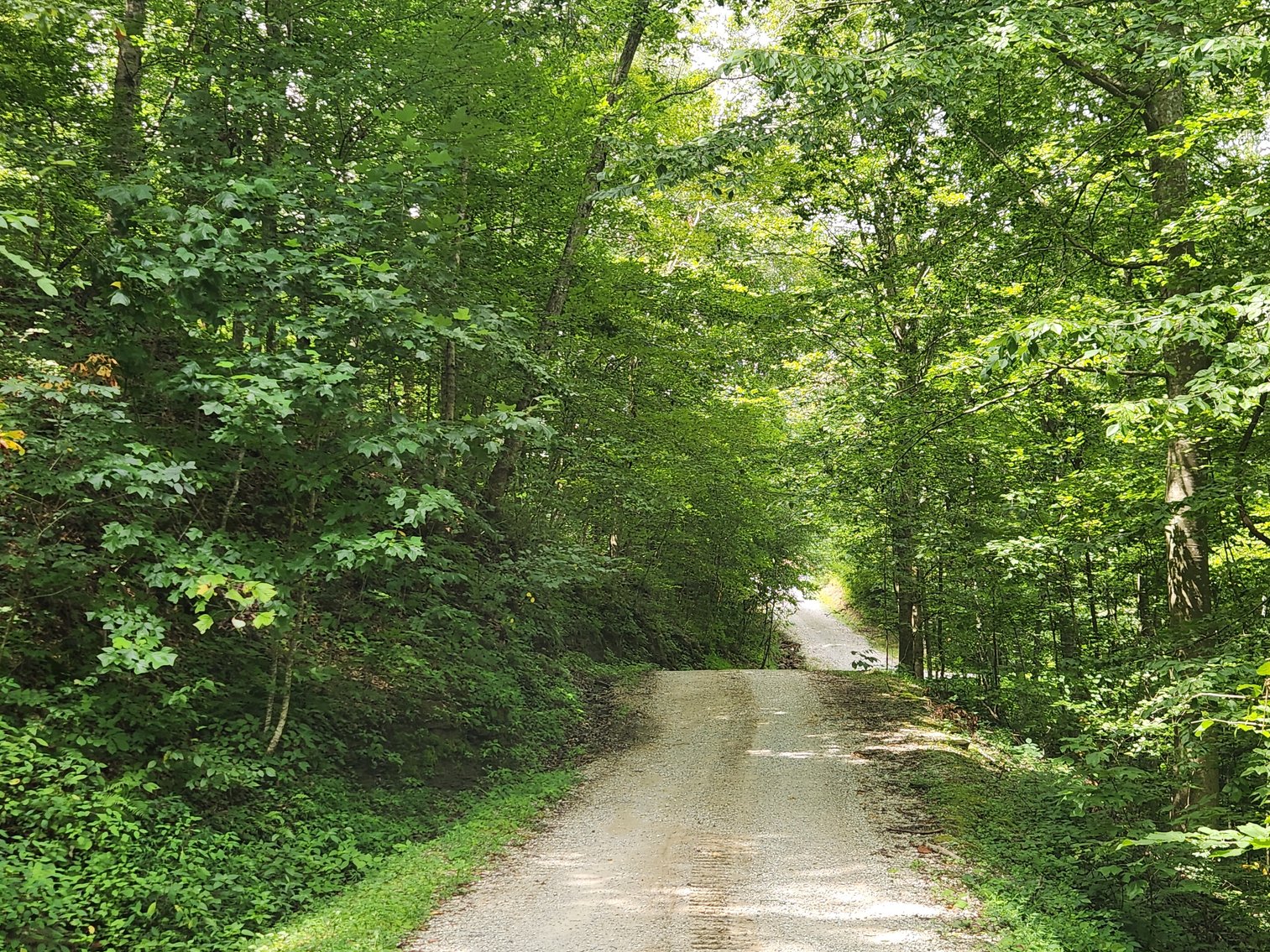 Image for Stanton, KY: Development & Investment Opportunities Near Red River Gorge in Birch Hollow (Powell County)