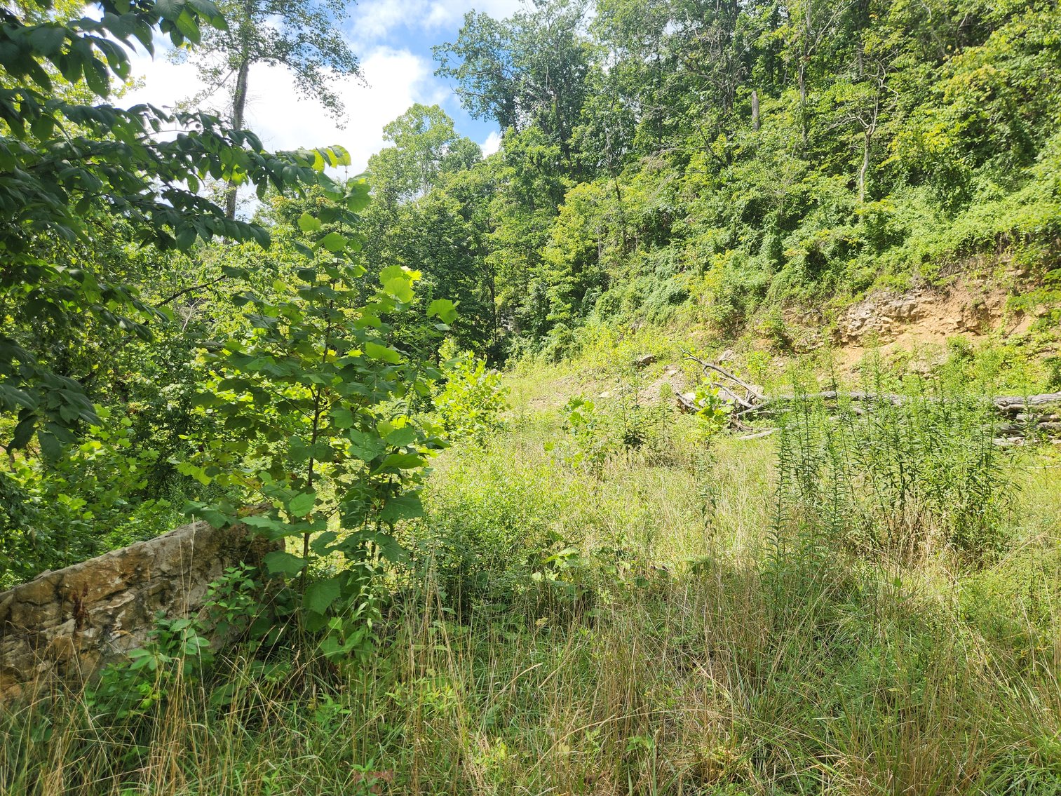 Image for Stanton, KY: Development & Investment Opportunities Near Red River Gorge in Birch Hollow (Powell County)