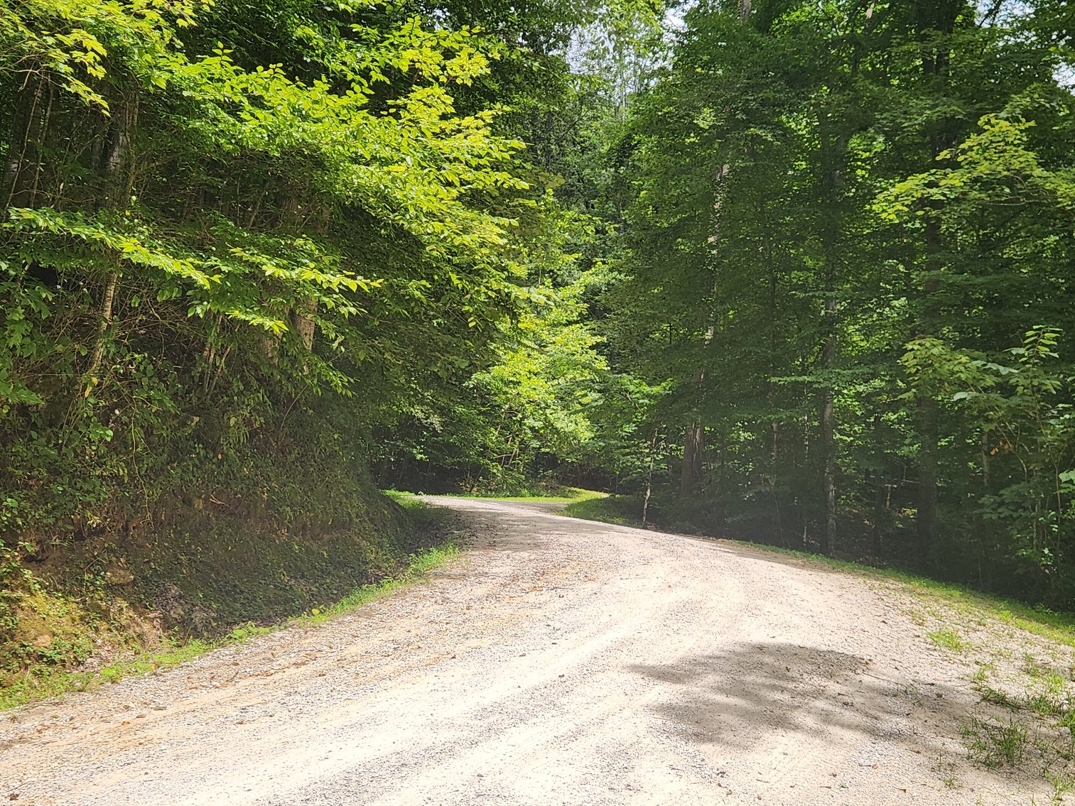 Image for Stanton, KY: Development & Investment Opportunities Near Red River Gorge in Birch Hollow (Powell County)
