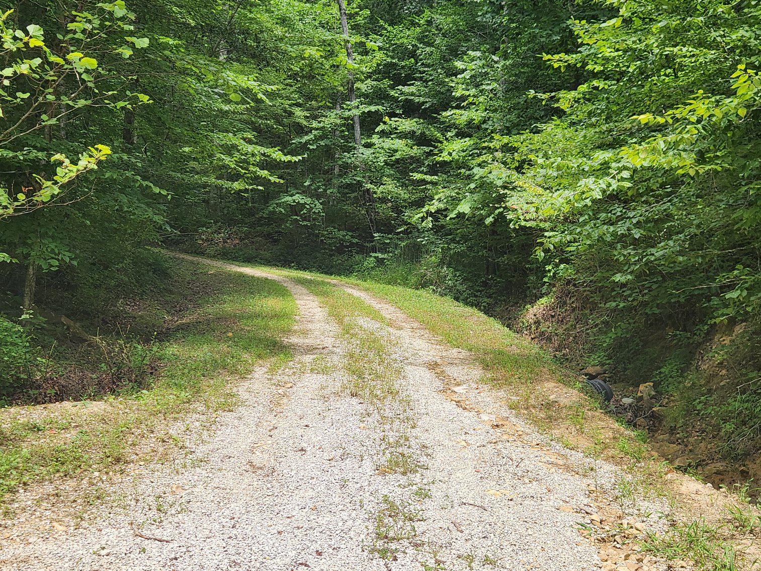 Image for Stanton, KY: Development & Investment Opportunities Near Red River Gorge in Birch Hollow (Powell County)