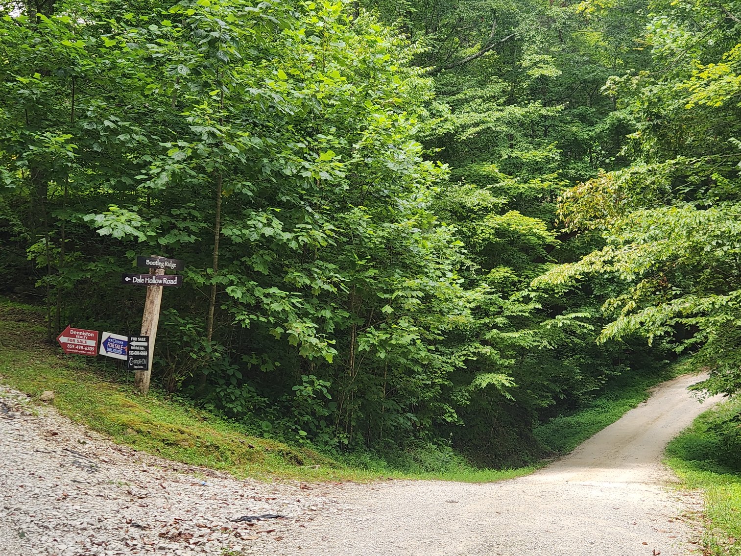 Image for Stanton, KY: Development & Investment Opportunities Near Red River Gorge in Birch Hollow (Powell County)