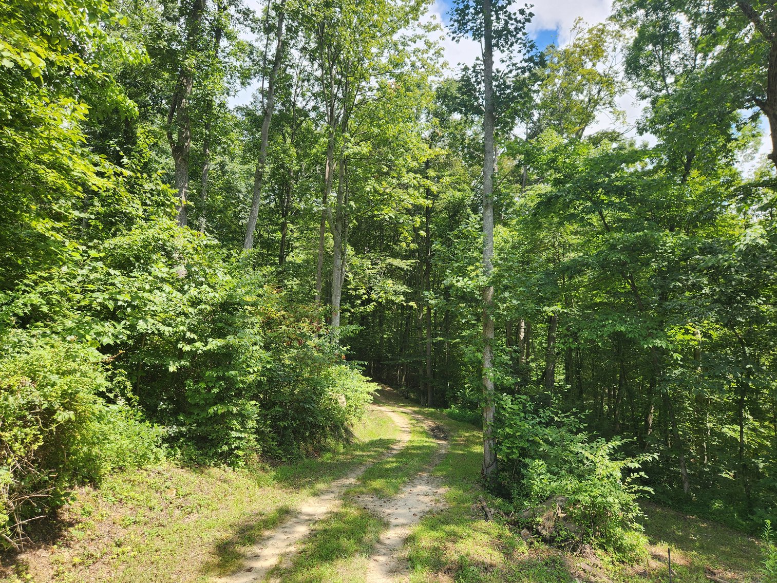 Image for Stanton, KY: Development & Investment Opportunities Near Red River Gorge in Birch Hollow (Powell County)