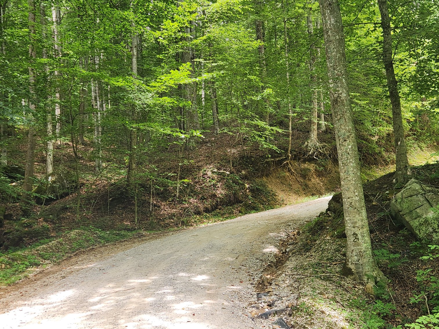 Image for Stanton, KY: Development & Investment Opportunities Near Red River Gorge in Birch Hollow (Powell County)