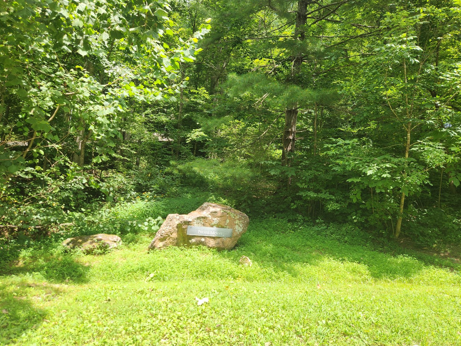 Image for Stanton, KY: Development & Investment Opportunities Near Red River Gorge in Birch Hollow (Powell County)