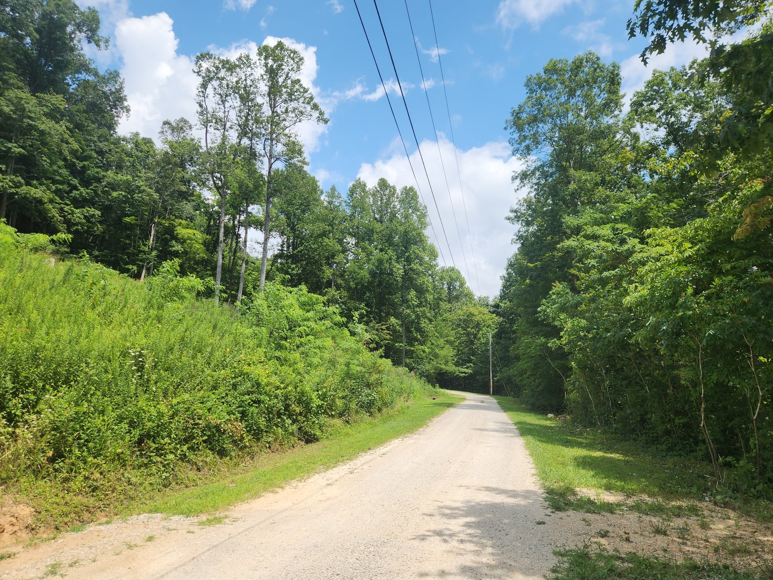 Image for Stanton, KY: Development & Investment Opportunities Near Red River Gorge in Birch Hollow (Powell County)