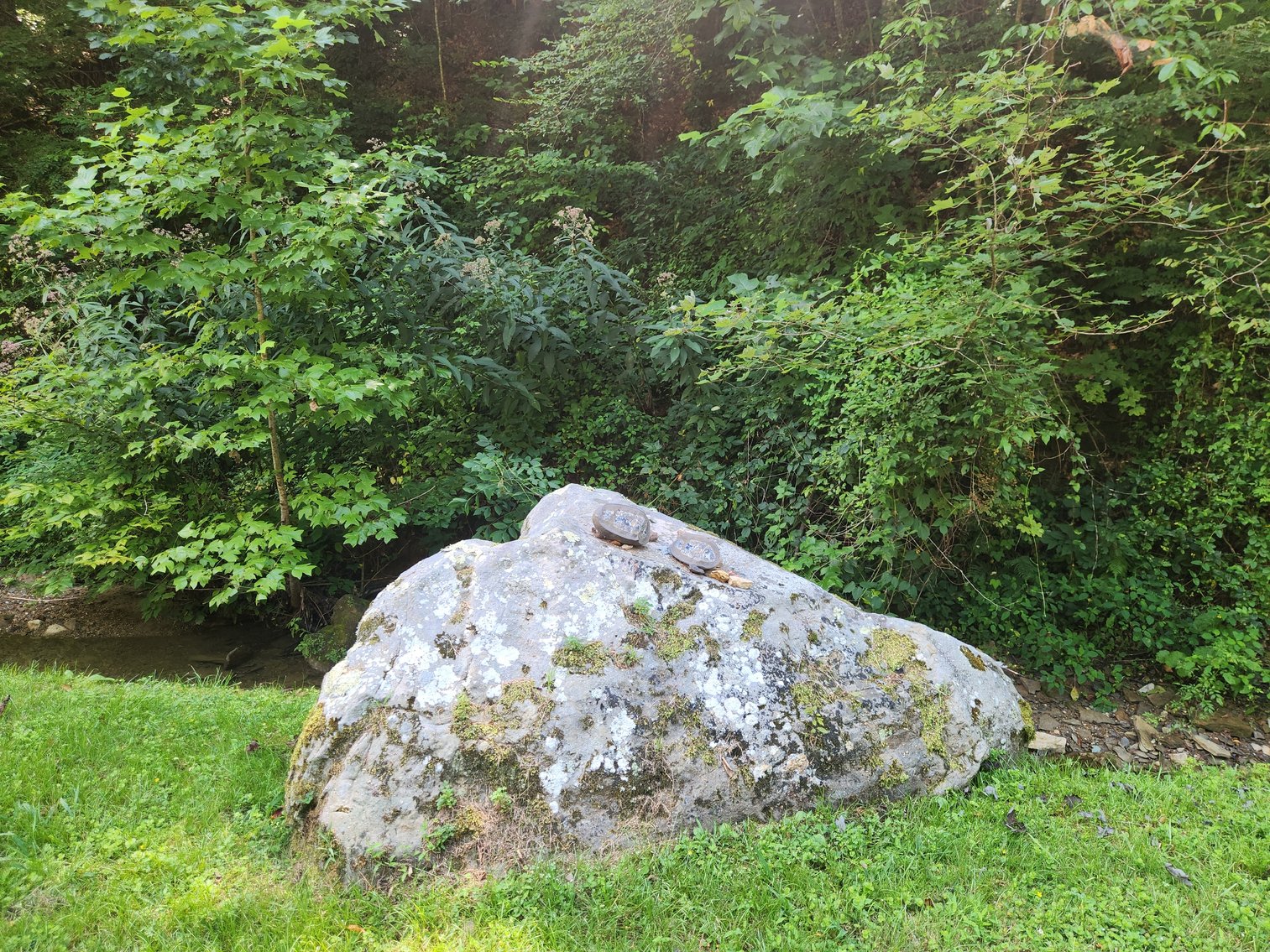 Image for Stanton, KY: Development & Investment Opportunities Near Red River Gorge in Birch Hollow (Powell County)