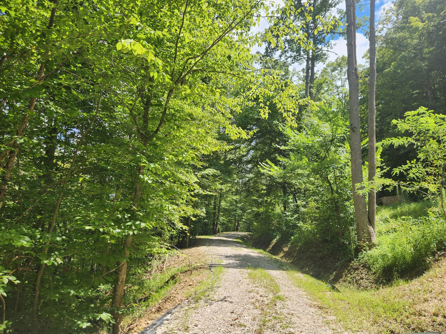 Image for Stanton, KY: Development & Investment Opportunities Near Red River Gorge in Birch Hollow (Powell County)