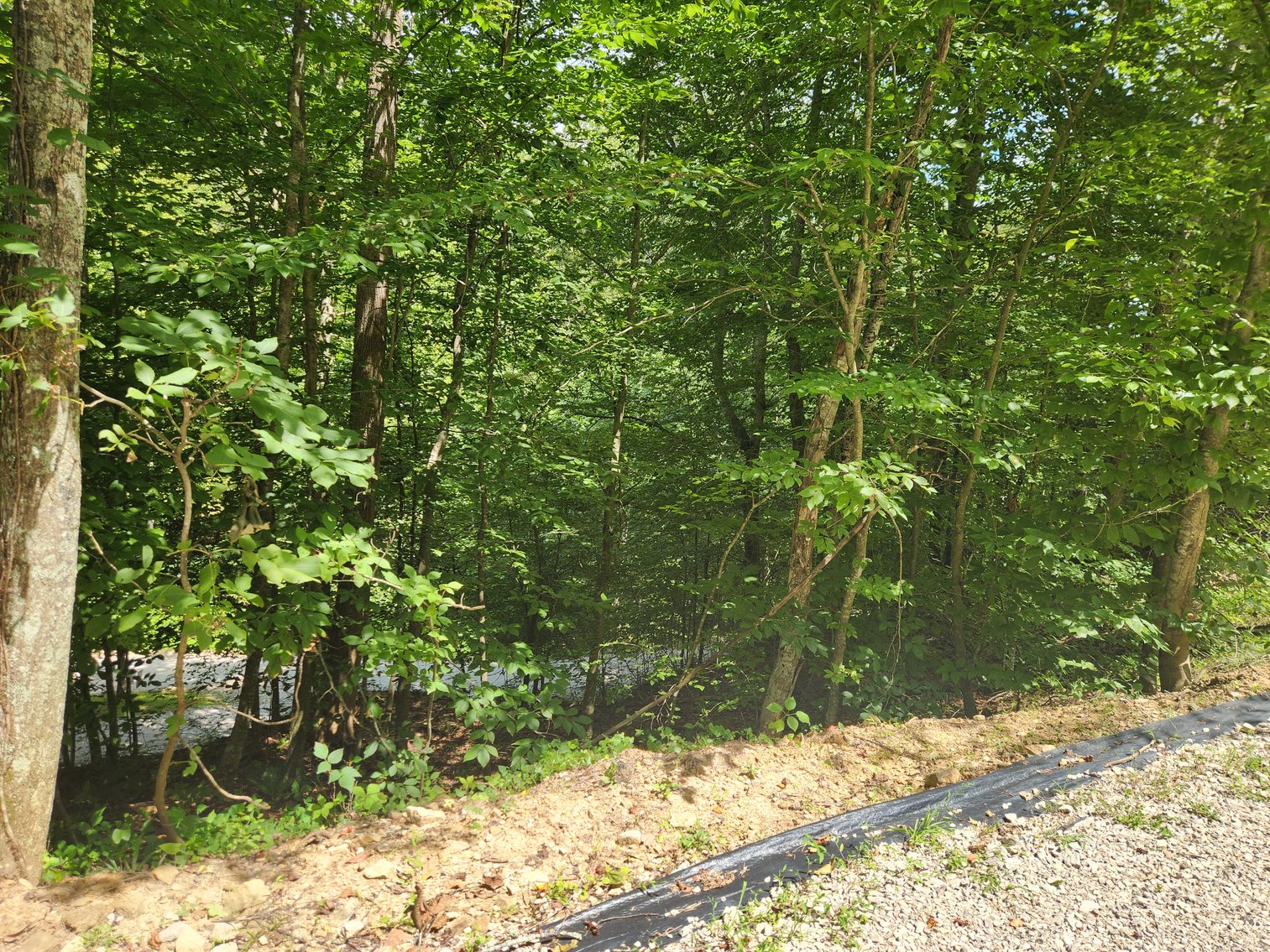 Image for Stanton, KY: Development & Investment Opportunities Near Red River Gorge in Birch Hollow (Powell County)