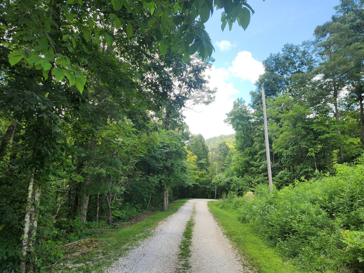 Image for Stanton, KY: Development & Investment Opportunities Near Red River Gorge in Birch Hollow (Powell County)