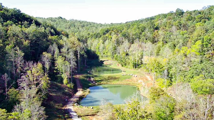 Image for Stanton, KY: Development & Investment Opportunities Near Red River Gorge in Birch Hollow (Powell County)