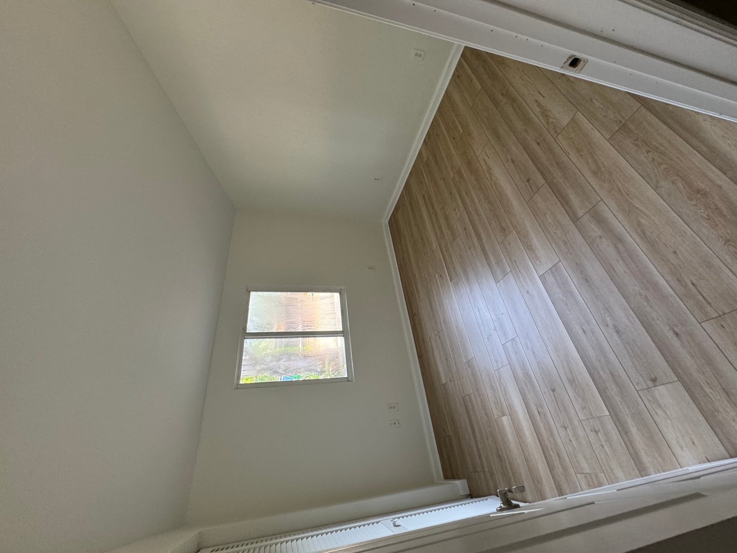 Image for 1395 Davis Rd. Dunedin