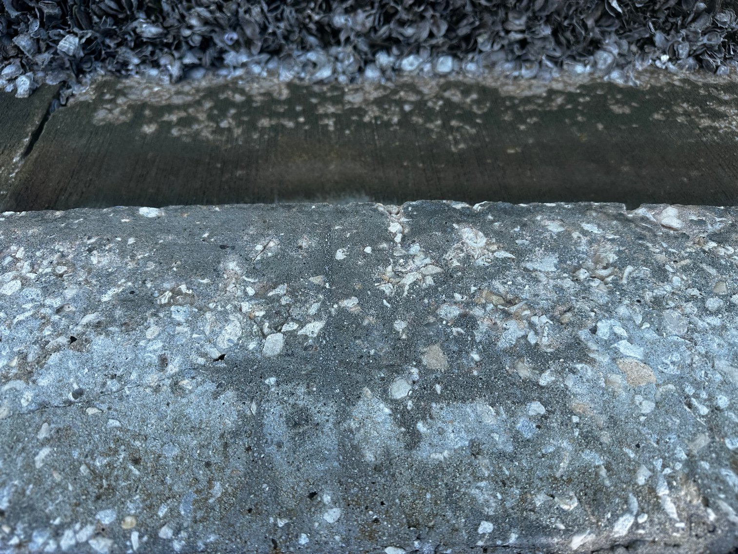 Image for 5903 BIMINI WAY N, ST PETE BEACH, Florida 33706