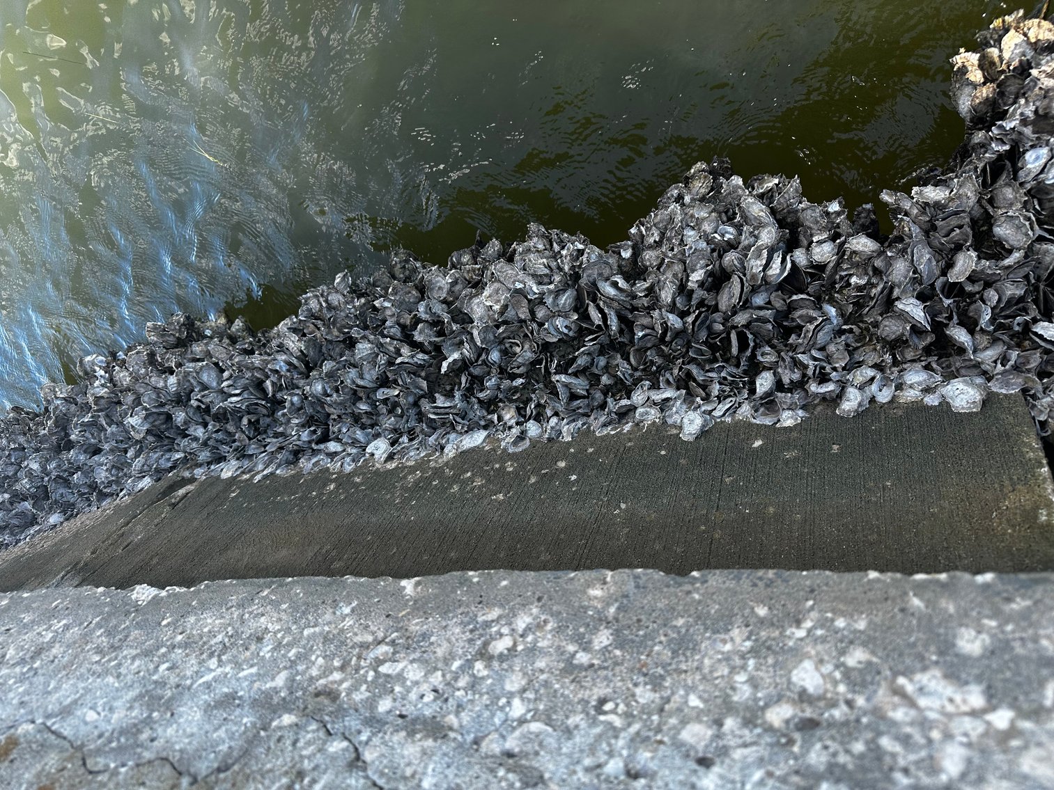 Image for 5903 BIMINI WAY N, ST PETE BEACH, Florida 33706