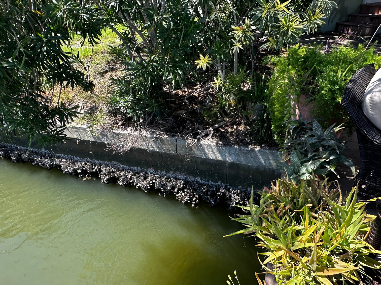 Image for 5903 BIMINI WAY N, ST PETE BEACH, Florida 33706