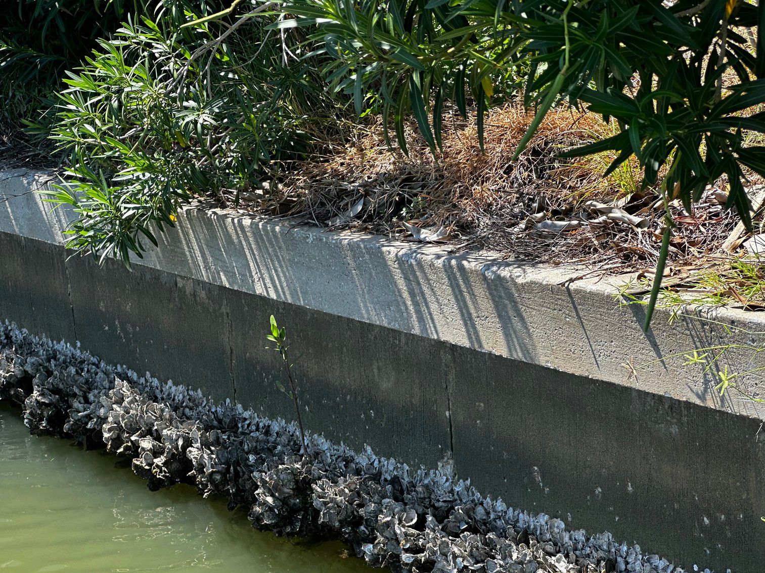 Image for 5903 BIMINI WAY N, ST PETE BEACH, Florida 33706